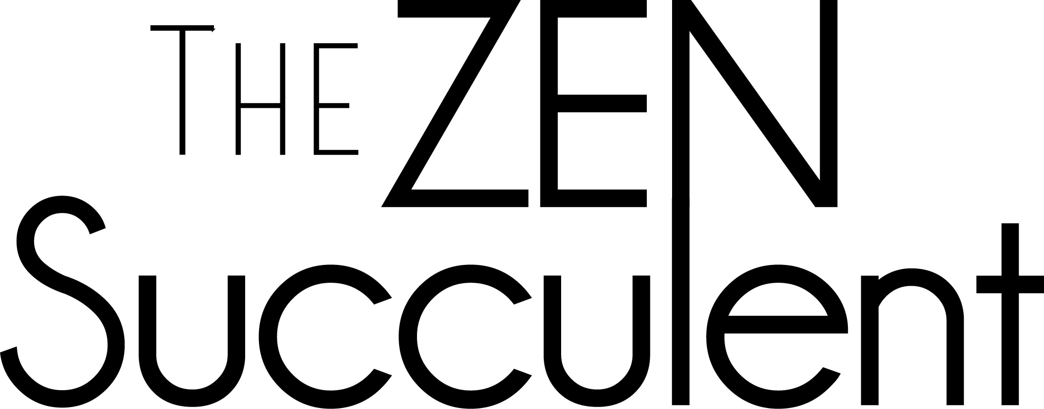The Zen Succulent