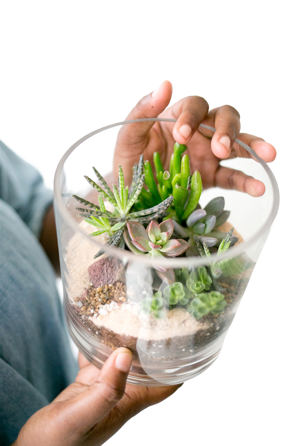 Zen Succulent product image