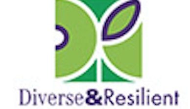 Diverse & Resilient logo