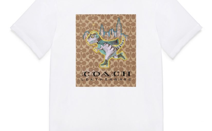 Coach Gift Image